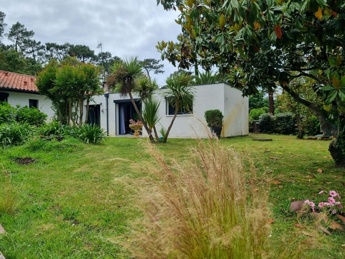 Villa House With Heated Pool And Jacuzzi Soorts-Hossegor Exterior foto